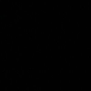 Meet your Posher, Ahmad